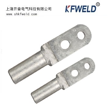 DT 2 Holes Copper Cable Lug